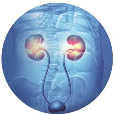 Genitourinary Journal Club