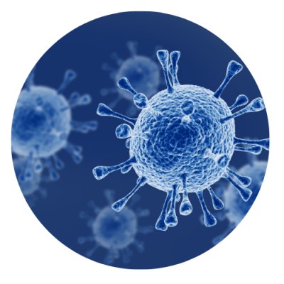 Cancer Cells